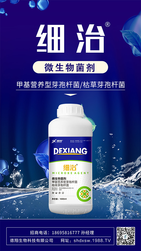 如何有效防治柑橘瘡痂??？柑橘瘡痂病為害及防治藥劑推薦！