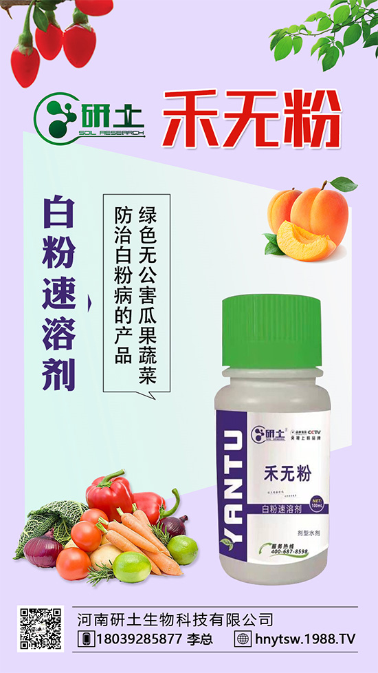 葡萄白粉病即將爆發(fā)！如何巧妙分辨白粉病？