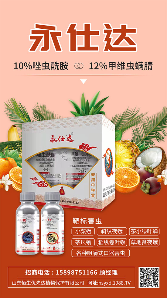 小菜蛾為何防治難？小菜蛾危害癥狀及防治措施！