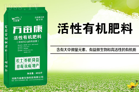 大豆高產(chǎn)施什么肥？如何施肥能增效？