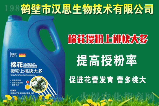 �޻��Nֲ��ô�������޻������L�ڹ���Ҫ�c