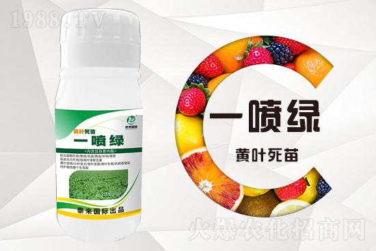 �����߲������ʲô������������ô��Q��