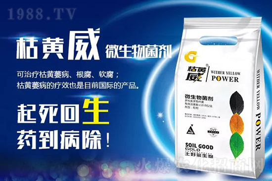 枯黃萎、立枯等病害怎樣滅殺？用它就夠了！