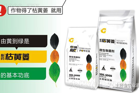 枯黃萎、立枯等病害怎樣滅殺？用它就夠了！