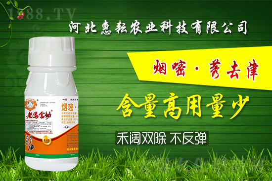 封殺雙效！禾闊通除！玉米田除草記住這個(gè)配方就夠了! 