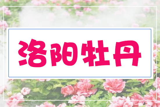 ���(y��ng)ĵ��