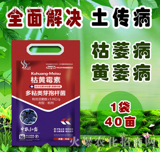     細菌性病害有哪些？防治藥劑怎么選？一篇文章說明白