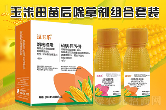 玉米除草效果差，什么原因？玉米除草劑怎么選？