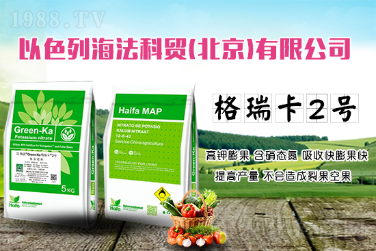 果蔬膨果增產(chǎn)的秘密！杜絕裂果空果，以色列原裝進(jìn)口，配方萬里挑一！