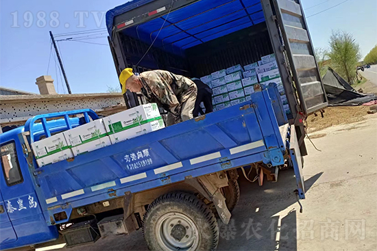 暢銷爆品！實力廠家！格瑞卡2號發(fā)貨不停歇