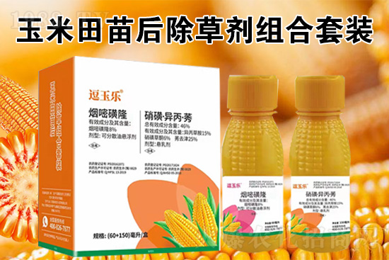 ���׳��݄���ô�������Ч��