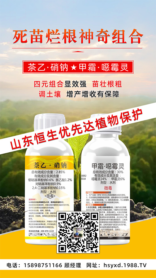 根腐、立枯、死苗爛根導(dǎo)致作物的“元兇”！這樣防治輕松搞定！