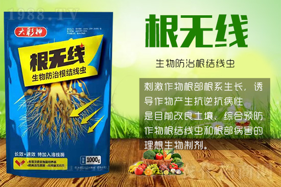 根結(jié)線蟲殺死容易殺絕難！這樣防治效果好到驚人！