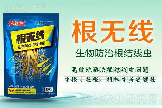 根結(jié)線蟲殺死容易殺絕難！這樣防治效果好到驚人！