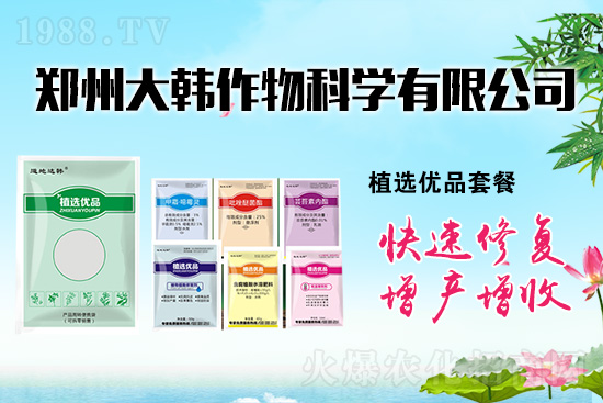 ����ˎ���ʺ��l�l(f��)��ô�k���l(f��)��ˎ���ʺ�����a(b��)����