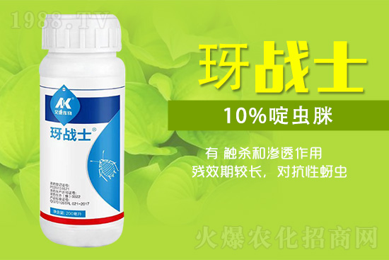 早春蚜蟲很容易大爆發(fā)，怎么避免黃瓜蚜蟲危害？