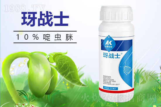 早春蚜蟲很容易大爆發(fā)，怎么避免黃瓜蚜蟲危害？