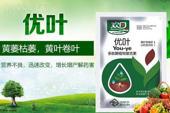 �~��ʵķN�ʹ��ע�����(xi��ng)