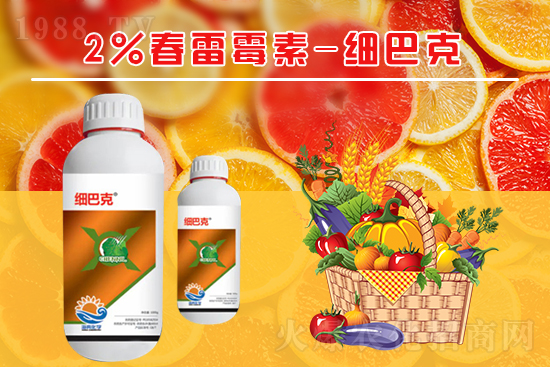 番茄潰瘍病怎么辦？聽聽專家怎么說！