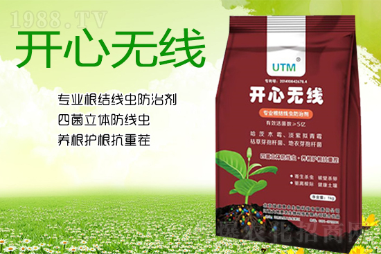 根結線蟲危害大？線蟲防治意見匯總！