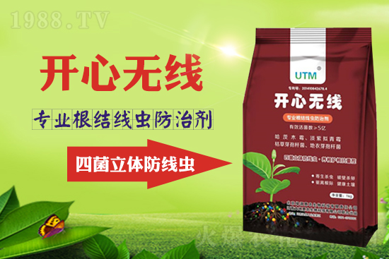 根結線蟲危害大？線蟲防治意見匯總！