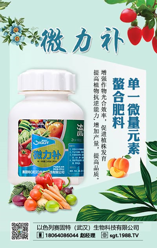 防治果樹小葉、黃葉病，專家有妙招！