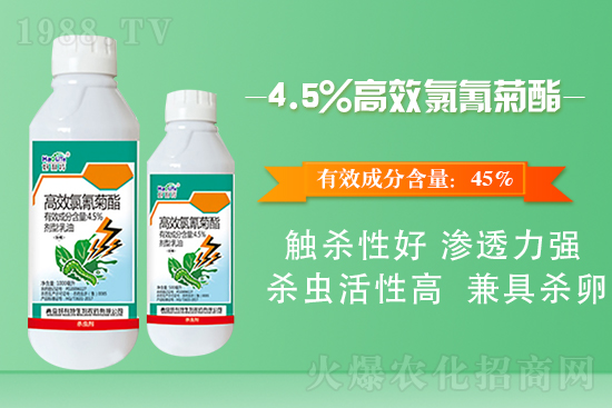 白菜菜青蟲(chóng)有什么危害？白菜菜青蟲(chóng)防治