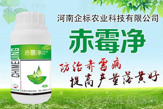 �o�����ѣ�δ��ʮ����С����ù�������P(gu��n)�I������(w��)��ץס��