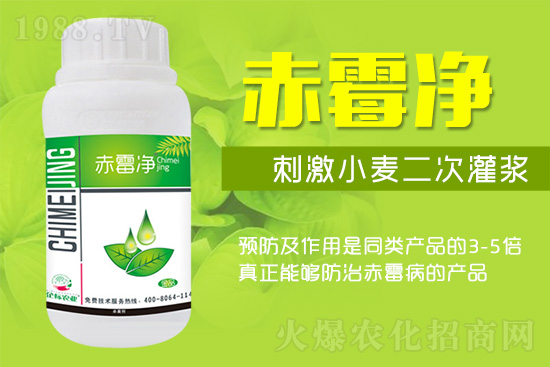 �o�����ѣ�δ��ʮ����С����ù�������P(gu��n)�I������(w��)��ץס��