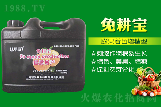 番茄催紅措施怎么做？有什么技巧？