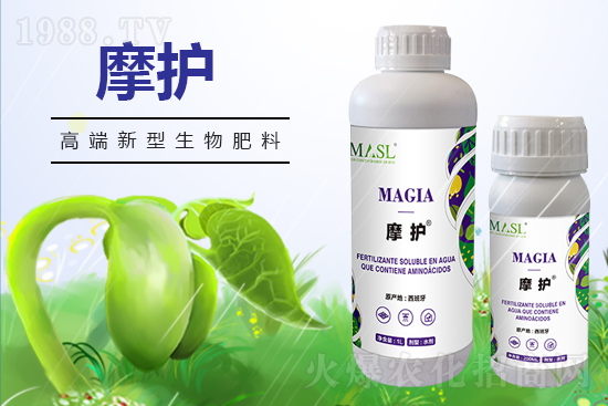 黃瓜苗期管理，需要注意哪些問(wèn)題？