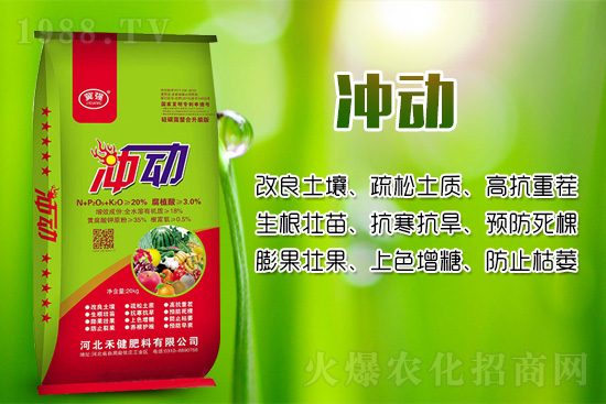 辣椒移栽后幼苗生長緩慢的原因！