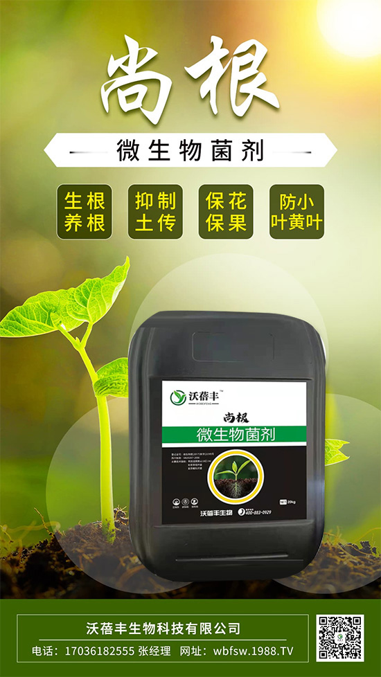 怎么才能讓作物生根壯根呢？這樣做讓作物生根到底！