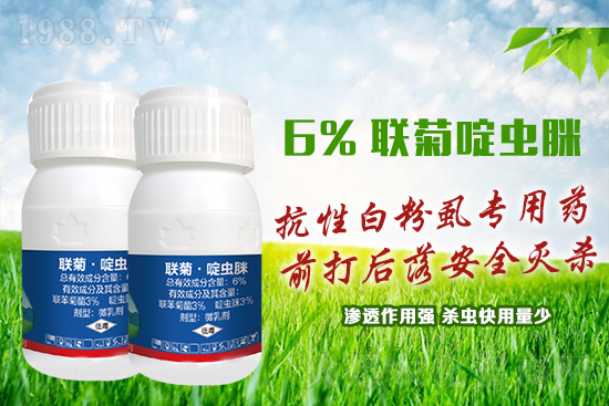 ���԰׷�ʭ�y�����y�Σ��@����ˎ�x(ch��ng)���p�������x(ch��ng)��