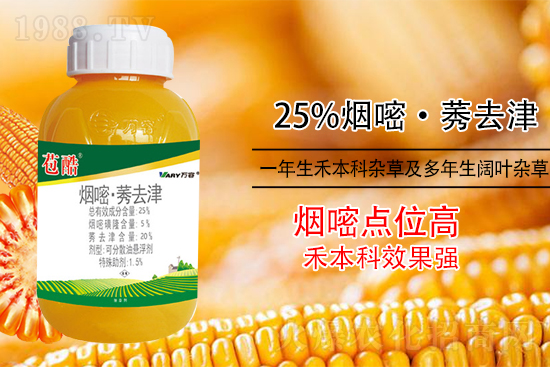 ���׳������e���@�׷N���݄���