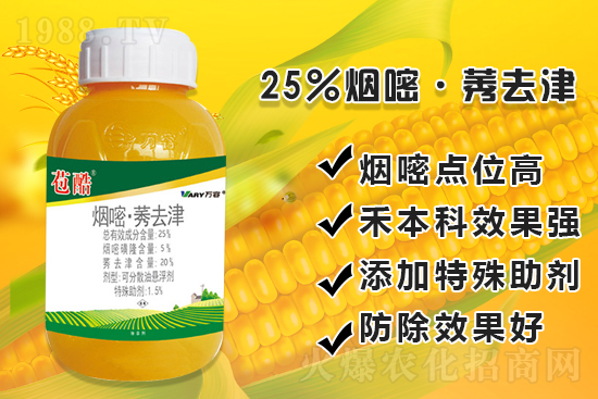 ���׳������e���@�׷N���݄���