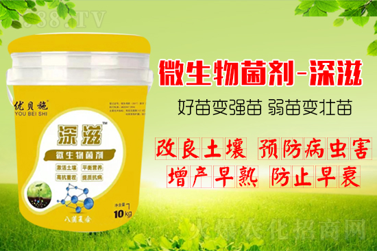 作物如何爆發(fā)式生根呢？生根養(yǎng)根方案快來看！