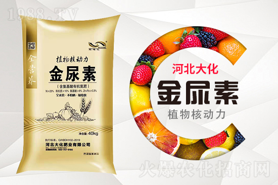 ���ص����ܲ������~��ʣ���ô����