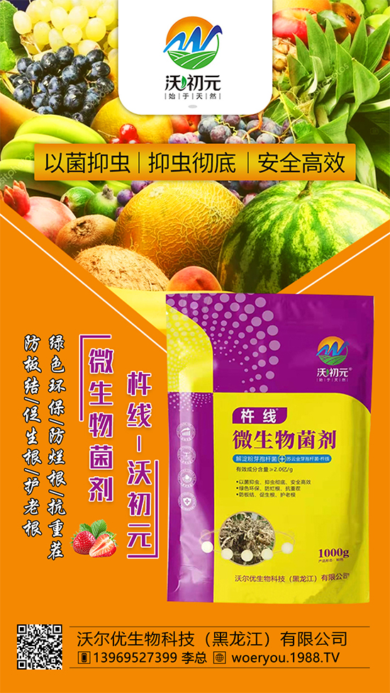 ����ĸ�ϵ���Q������Įa(ch��n)��