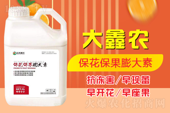 夏季保果膨大少不了，如何保果膨大？