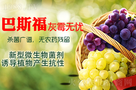 ���ѻ�ù��ԓ��ν�Q����ù����ˎ���h��