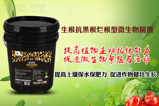 ����ڸ��������S�������l�l(f��)���á������p�ɽ�Q�����f(w��n)�Nֲ����������