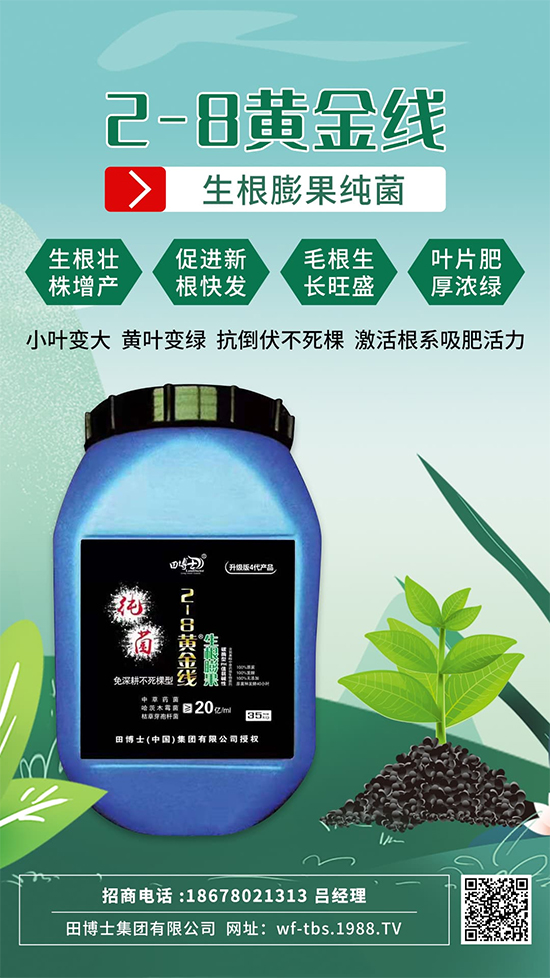 根是肥的嘴，萬物生長靠根系！作物爆發(fā)生根試試這一招! 