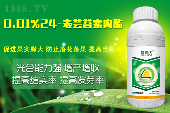 蕓苔素內(nèi)酯竟然有這么多作用！這樣搭配解決膨果增產(chǎn)難題！