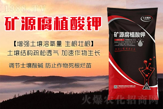 ����Nֲ��������(d��ng)�ׂ��������Ӹ��Ƹ�ϵ��r�أ�