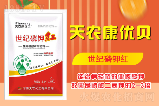 ���������ʲô���������˽����