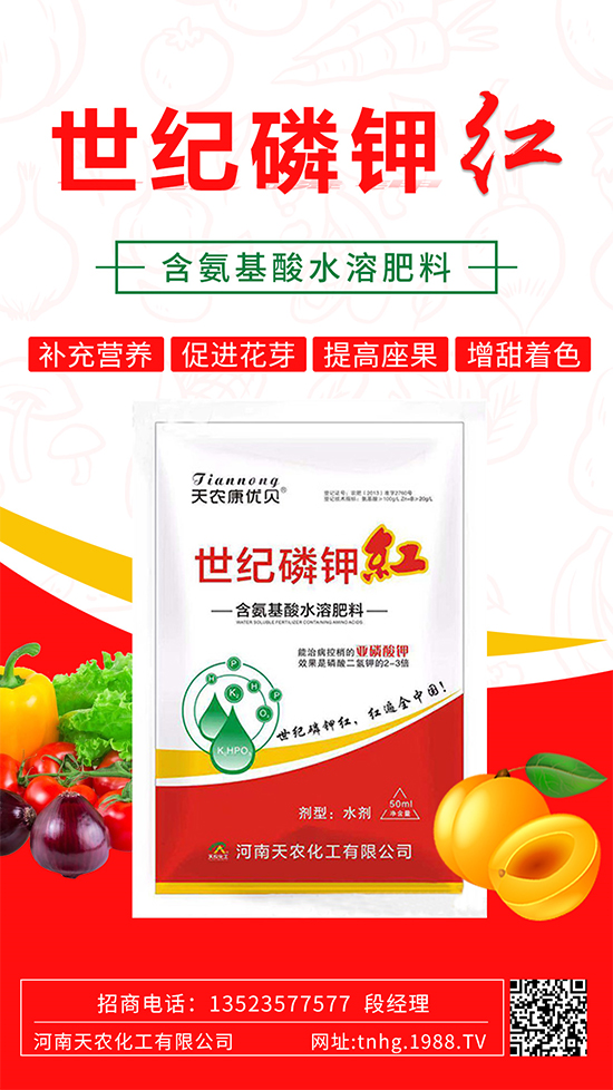 ���������ʲô���������˽�᣿