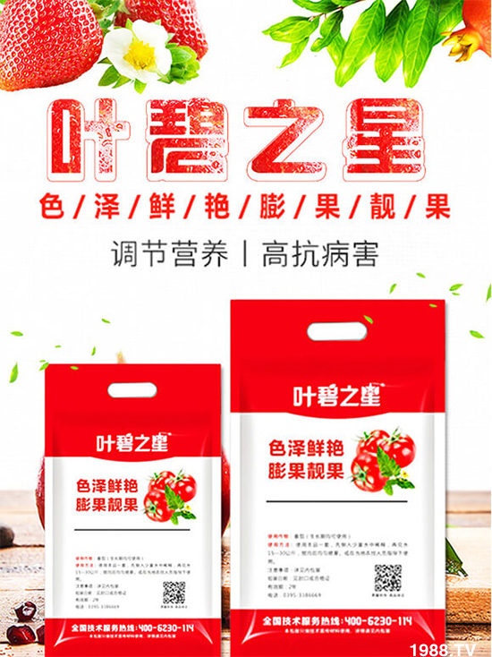 番茄開花少產量低怎么辦？牢記這幾點，番茄坐果不用愁！