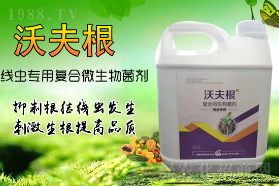 根結(jié)線蟲侵染作物根部？教你幾招，不反彈效果更!