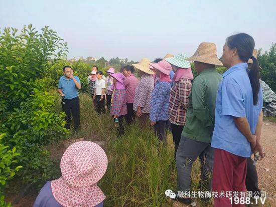 走進田間地頭，助力柑橘產(chǎn)業(yè)